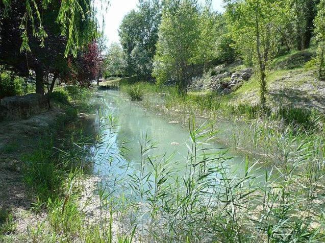 Mazet De Vacances Dans Le Domaine De L'Espai Saint-Martin-de-Brômes 외부 사진